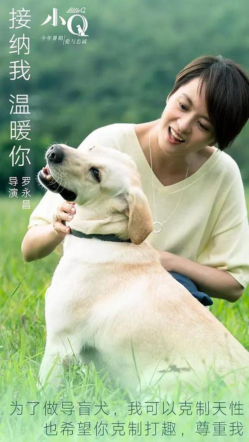 费尔莫音乐学院社会学文凭证书